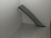 (A) pillar trim