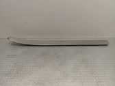 Front sill trim cover