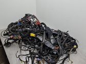 Faisceau de câblage pour installation électrique