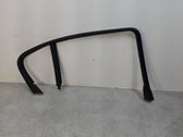 Rear door glass trim molding