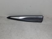 Rear door trim (molding)
