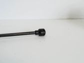 Tailgate/trunk strut/damper