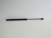 Tailgate/trunk strut/damper