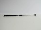 Tailgate/trunk strut/damper
