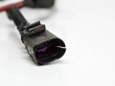 Other wiring loom