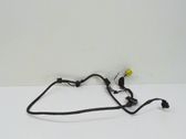 Other wiring loom
