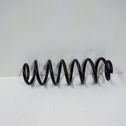 Rear coil spring