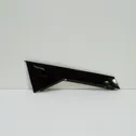 Rear door glass trim molding