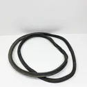 Trunk rubber seal (body)