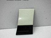 Fender trim (molding)