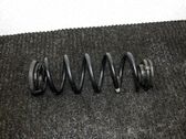Muelle espiral trasero