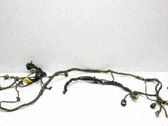 Other wiring loom