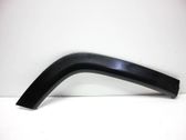 Fender trim (molding)