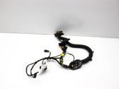 Front door wiring loom