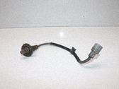 Lambda probe sensor