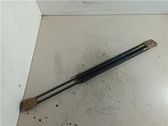 Amortiguador/puntal del capó/tapa delantero
