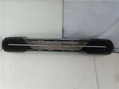 Moldura del limpia
