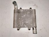 Intercooler radiator