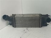 Radiador intercooler