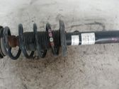 Front shock absorber with coil spring