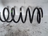 Feder vorne