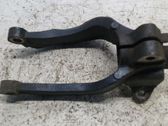 Front lower control arm/wishbone