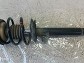 Front shock absorber with coil spring