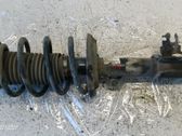 Front shock absorber with coil spring