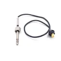 Exhaust gas temperature sensor