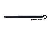 Tailgate strut