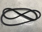 Front door rubber seal