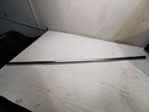 Rear door glass trim molding