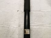 Rear shock absorber/damper