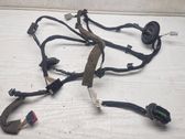 Rear door wiring loom