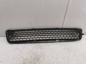 Front bumper lower grill