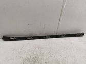 Windshield trim