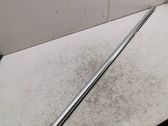 Rear door trim (molding)
