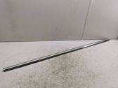 Rear door trim (molding)