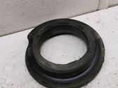 Rear coil spring rubber mount