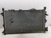 Electric radiator cooling fan