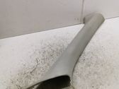 (A) pillar trim