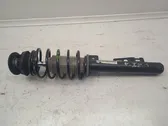 Front shock absorber with coil spring