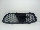 Fender grill