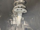 Amortiguador delantero con muelle espiral