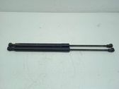 Amortiguador/puntal del maletero/compartimento de carga