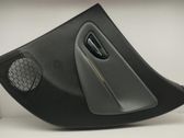 Moldura del tarjetero de la puerta trasera