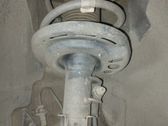 Amortiguador delantero con muelle espiral