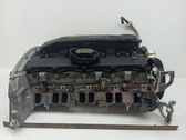 Culata del motor