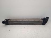 Intercooler radiator