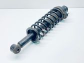 Rear shock absorber with coil spring